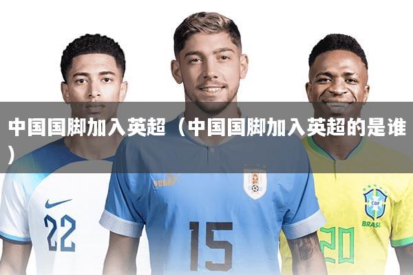 中国国脚加入英超（中国国脚加入英超的是谁）