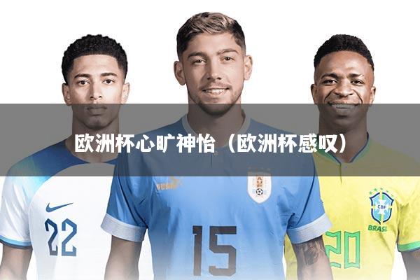 欧洲杯心旷神怡(欧洲杯感叹)