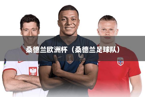 桑德兰欧洲杯（桑德兰足球队）