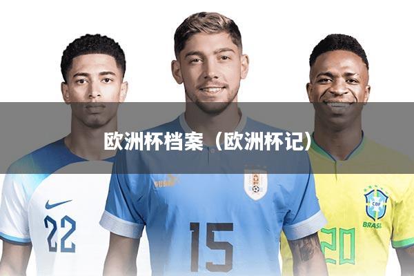 欧洲杯档案（欧洲杯记）